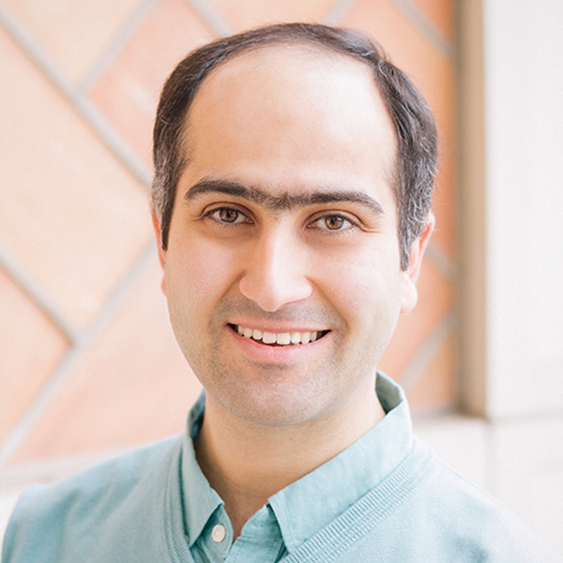 Professor Maysam Chamanzar